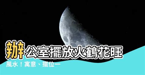 火鶴辦公室風水